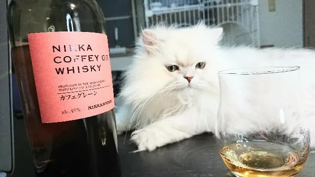 カフェグレーンの実飲時に撮影した写真(筆者撮影)