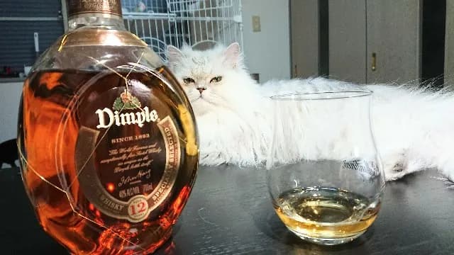 ディンプル12年の実飲時に撮影した写真(筆者撮影)