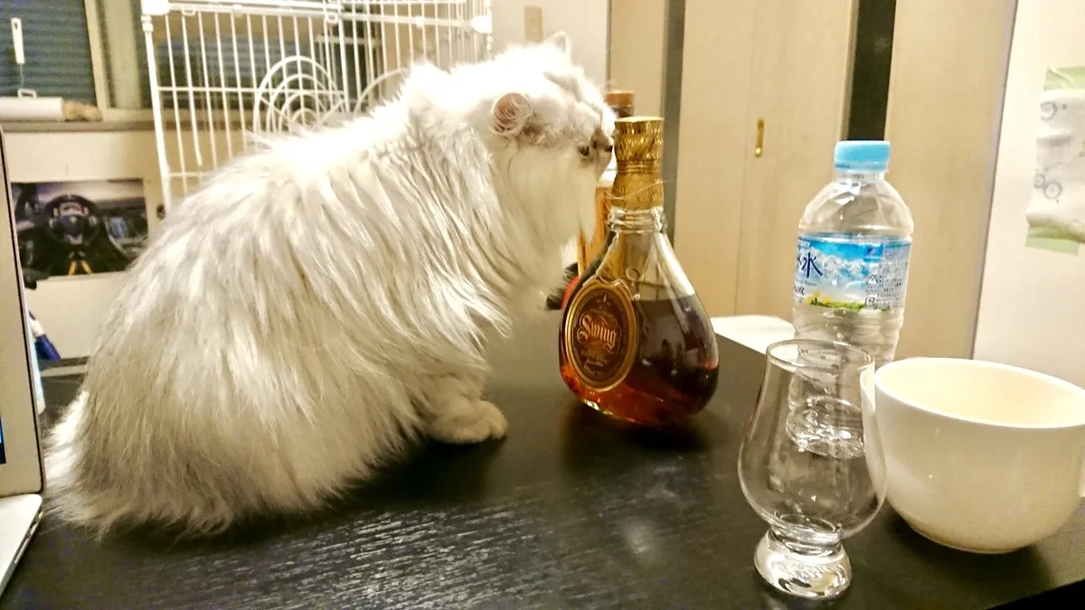 ジョニーウォーカー スウィングの実飲時に撮影した写真(筆者撮影)