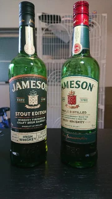 ジェムソン スタウト エディションの実飲時に撮影した写真(筆者撮影)