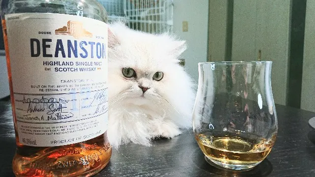 ディーンストン12年の実飲時に撮影した写真(筆者撮影)