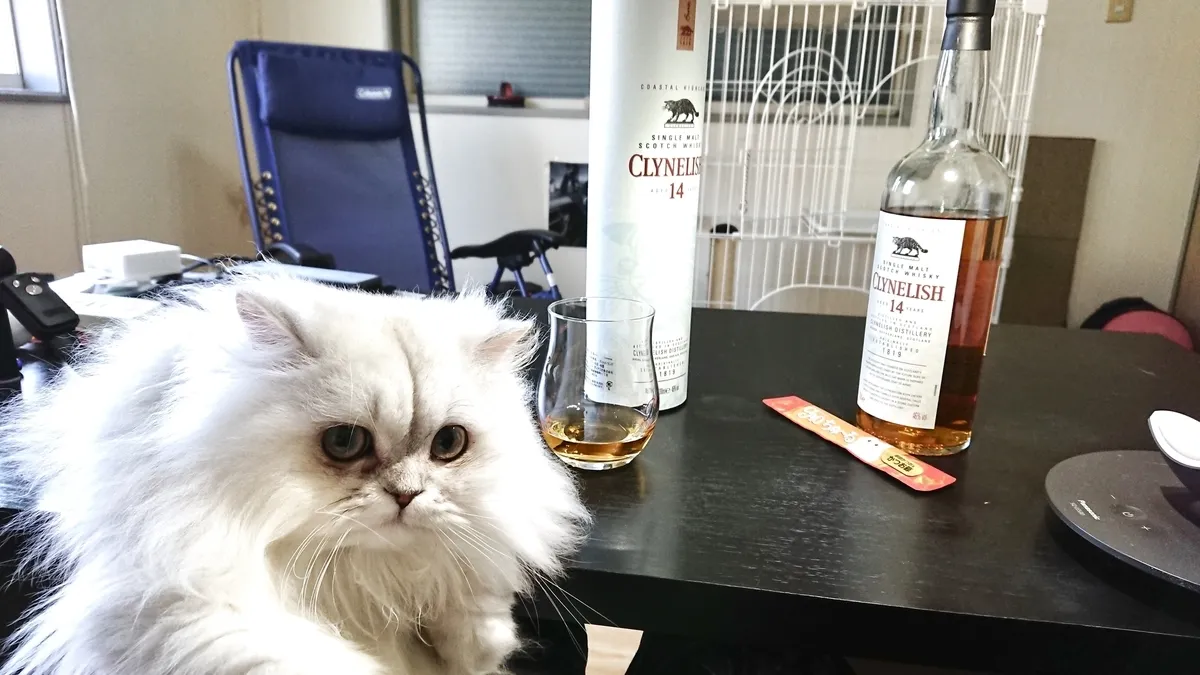 クライヌリッシュ14年の実飲時に撮影した写真(筆者撮影)
